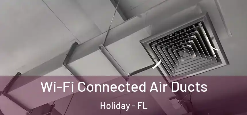Wi-Fi Connected Air Ducts Holiday - FL